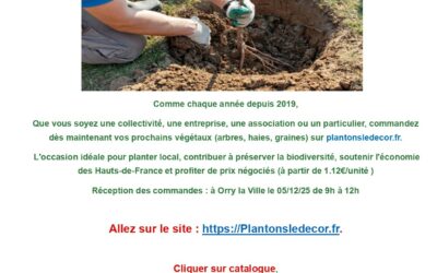 Plantons le décor